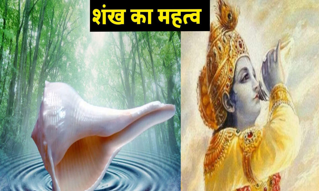 Shankh : हिंदू धर्म में शंख का क्या है महत्व, जानें सब कुछ जो आप जानना चाहते हैं... 2 1284310 shankh ka mahatva