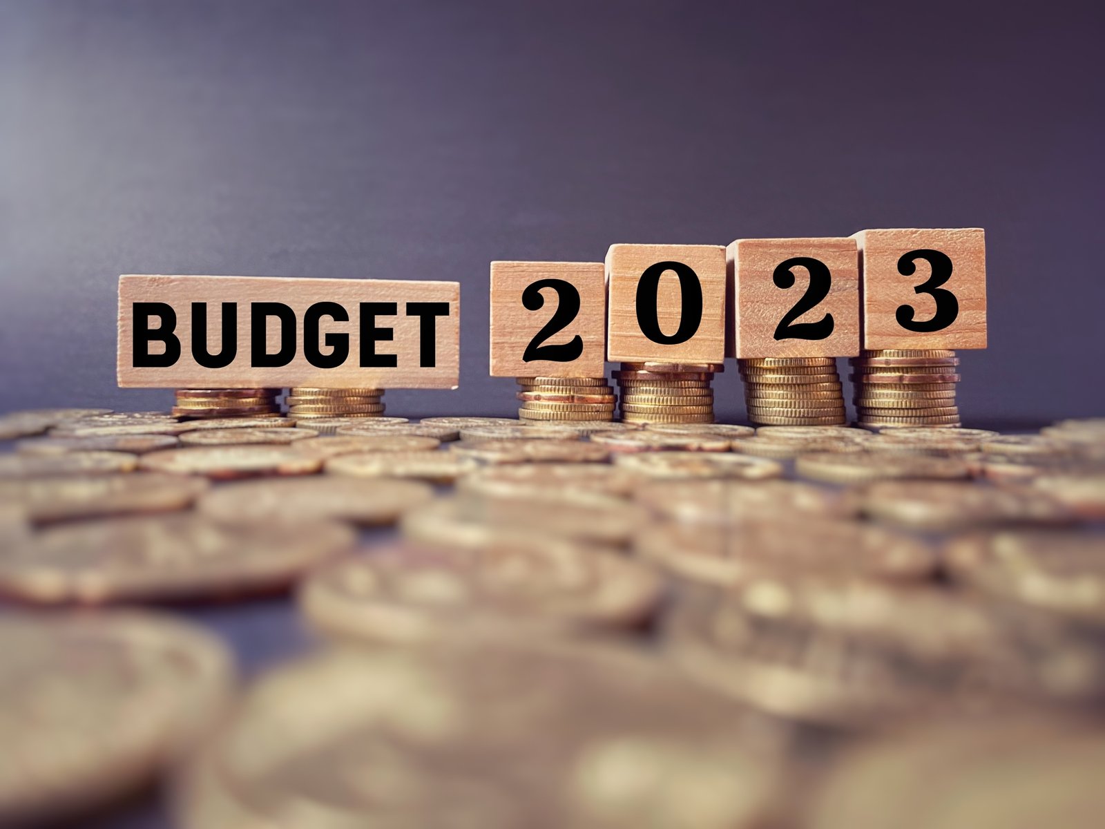 Union Budget 2023: कुछ ऐसा होगा देश का पांचवां बजट! वित्त मंत्री लोगों को  इस द‍िन देंगी 3 बड़े तोहफे... - Pradesh Live