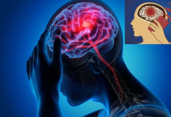 ब्रेन