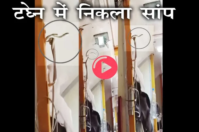 Viral Video: जबलपुर से मुंबई जा रही ट्रेन में सांप ने मचाई अफरा-तफरी, यात्रियों में दहशत का माहौल