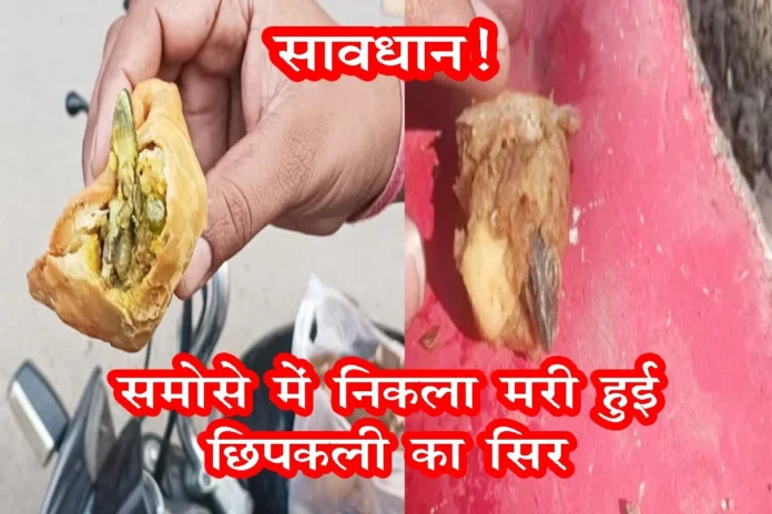 Dead lizard's head found in samosa