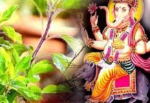इसलिए भगवान गणेश को नहीं चढ़ती तुलसी