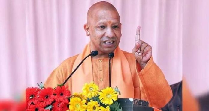 yogi-4.jpg