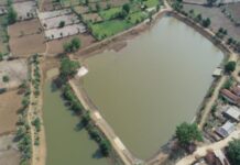 सामुदायिक प्रयासों का रहा बेहतरीन परिणाम : संस्कारधानी को मिल रहा बेस्ट डिस्ट्रिक्ट का सम्मान