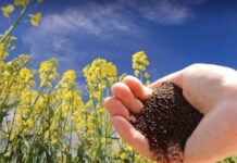 किसानों के लिए आय में वृद्धि का नया अध्याय पीएम-आशा योजना