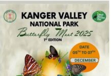 कांगेर घाटी में 5 से 7 दिसंबर तक होगा बटरफ्लाई मीट