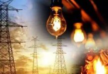 विद्युत बिल कलेक्शन में बाराबंकी की राजश्री शुक्ला नंबर-1, कमाए 7 लाख रुपये