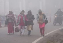 Bihar Weather Update: ठंड और कोहरे का डबल अटैक, पटना में मौसम रहेगा सर्द