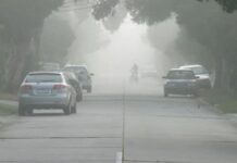 मध्य प्रदेश में ठंड का कहर, 4 दिनों तक शीतलहर का अलर्ट, जानिए आपके शहर का हाल