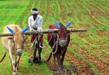 राजस्थान के किसानों के लिए बड़ी खुशखबरी—21वीं किस्त के 1400 करोड़ रुपए ट्रांसफर