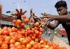 टमाटर महंगा, 10 दिनों में 50% बढ़ा दाम, जानें क्या वजह बनी महंगाई की आग