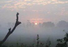 छत्तीसगढ़ में कड़ाके की ठंड: शीतलहर की चेतावनी, जानिए किन जिलों में है अलर्ट और क्या है आगे का पूर्वानुमान?