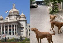 सरकार का बड़ा फैसला: कुत्ते के काटने पर मिलेगा मुआवजा, जानिए कैसे उठाएं फायदा!