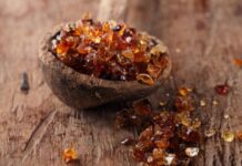 हड्डियों को बनाए स्टील जैसा मजबूत, आजमाएं बबूल गोंद वाला दूध नुस्खा