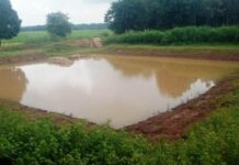 डबरी निर्माण से ग्रामीण आजीविका को मिल रही नई दिशा