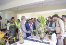 आधुनिक नर्सरी विकास की दिशा में अहम पहल