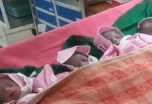 छिंदवाड़ा: महिला ने दिया चार बच्चों को जन्म, सातवें महीने में हुआ प्रसव