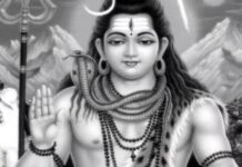 महादेव के गले की शोभा है ये सांप, हर दिन होता है इंसानों से सामना, क्या आप जानते हैं नाम?