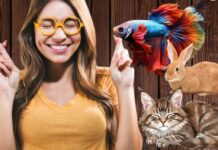 बहुत शुभ होते हैं ये 5 जीव, घर में पालने से दिन-दूनी रात चौगुनी बढ़ेगी तरक्की, धन की भी कभी नहीं होगी कमी!