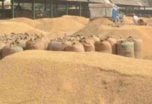 महासमुंद में धान खरीदी में अव्यवस्था पर कलेक्टर की सख्ती, तीन अधिकारी पद से हटाए गए