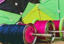 पुलिस का बड़ा फरमान: पतंगबाजी से पहले जान लें ये नया नियम, वरना पड़ सकते हैं बड़ी मुश्किल में