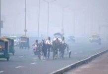 राजस्थान में कांपने लगी सुबहें, सीकर-झुंझुनू में शीतलहर अलर्ट जारी