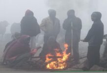 मध्यप्रदेश में ठंड का प्रकोप तेज, पचमढ़ी में पारा 4 डिग्री से नीचे