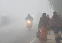 CG Weather: छत्तीसगढ़ में कड़ाके की ठंड का टॉर्चर शुरू…कोहरे और शीतलहर के बीच स्कूल टाइमिंग को लेकर बड़ा अपडेट, जानें अपने जिले का हाल