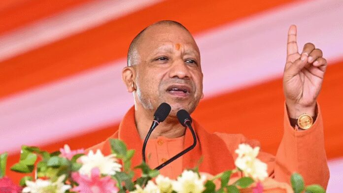 cm-yogi-up-news.jpg