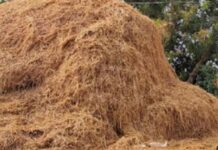 हादसे ने छीनी खुशियां: परिजन धान मिंजाई में थे व्यस्त, पैरावट बना मासूम की मौत का कारण