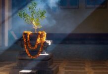 तुलसी के चमत्कारिक उपाय…25 दिसंबर को तुलसी पूजन दिवस पर करें ये काम, हर मनोकामना होगी पूरी!