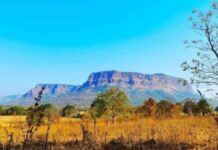 बीजापुर में बड़ा बदलाव , जिस कर्रेगुट्टा पहाड़ी पर पैर रखना मुश्किल था, वहां बनेगी सड़क… जानें सुरक्षा के लिहाज से क्यों है खास?