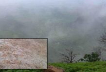 Chhattisgarh News: मैनपाट में जमी बर्फ, 2 डिग्री पहुंचा तापमान, नए साल से पहले फुल हुए होटल