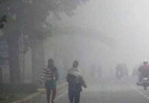 MP Cold Wave News: पचमढ़ी बना सबसे ठंडा हिल स्टेशन, कोहरे ने बढ़ाई मुश्किलें