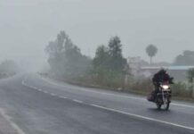 CG Weather Update: छत्तीसगढ़ में 3 दिनों तक रहेगा शीतलहर का कहर, जानें कौन-कौन से जिले हैं अलर्ट पर और बचाव के उपाय