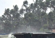 CG मौसम अपडेट: ‘दितवाह’ तूफान का खतरा…जानें आपके शहर में कब होगी बारिश और क्या है तैयारी, घर से निकलने से पहले पढ़ें खबर