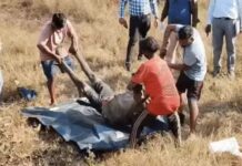 रायगढ़ में शिकार के दौरान बड़ा हादसा, जंगल में मिले 2 ग्रामीणों के शव