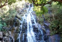 पचमढ़ी बना मिनी कश्मीर! बर्फ की सफेद चादर में ढका हिल स्टेशन, नौगांव में पारा 1 डिग्री