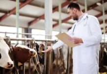 किसानों की आय दोगुनी करने में पशु चिकित्सकों की हैं महत्वपूर्ण भूमिका