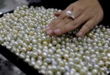 मोती की अंगूठी पहनने से पहले जान लें, कब और कैसे करें धारण