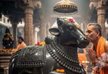 नंदी के किस कान में कहनी चाहिए मनोकामना, शिव वाहन से ही क्यों कहते हैं विश?