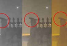 तिरुपति मंदिर पर चढ़ा नशेड़ी: पवित्र कलश को पहुंचाया नुकसान, 3 घंटे तक किया हंगामा