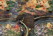 शरीर के लिए अमृत से कम नहीं बाबा बागनाथ पर चढ़ी ये चीज, कई रोगों का रामबाण इलाज!