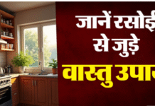 किचन में नहीं रखनी चाहिए ऐसी 5 चीजें, नहीं तो होगी धन की बर्बादी और बढ़ेंगी मानसिक परेशानी