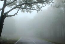 छत्तीसगढ़ में कड़ाके की ठंड के बीच झमाझम बारिश की चेतावनी, अगले 48 घंटे इन जिलों के लिए भारी