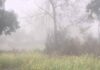 CG Weather Update: सर्द हवाओं से बढ़ी ठंड, कोहरे ने बढ़ाई परेशानी