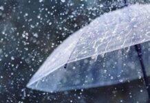 MP Weather Update: ग्वालियर-चंबल में बारिश का अलर्ट, ठंड और कोहरे से कांपा मध्य प्रदेश