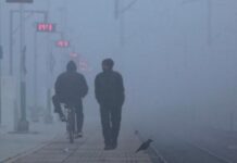 26 जनवरी को होगी बारिश? मध्य प्रदेश में बूंदाबादी के बाद घने कोहरे का अलर्ट, ग्वालियर-चंबल भीगा