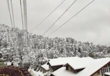 भारी बर्फबारी ने सफेद चादर से ढंक दिया हिमाचल प्रदेश को