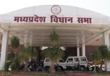 मध्य प्रदेश के बजट से जागी उम्मीदें, छोटे उद्योगों को रियायत और MSME के लिए अलग नियम की मांग